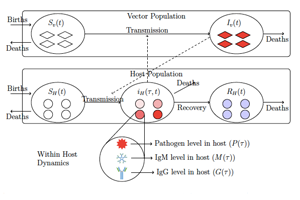 Schematic for H. Gulbudak's SIMM