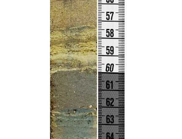 Qrurillo core sample image