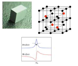 resonant ultrasound spectroscopy image